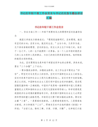 书记在年轻干部工作会发言与书记在应急专题会讲话汇编