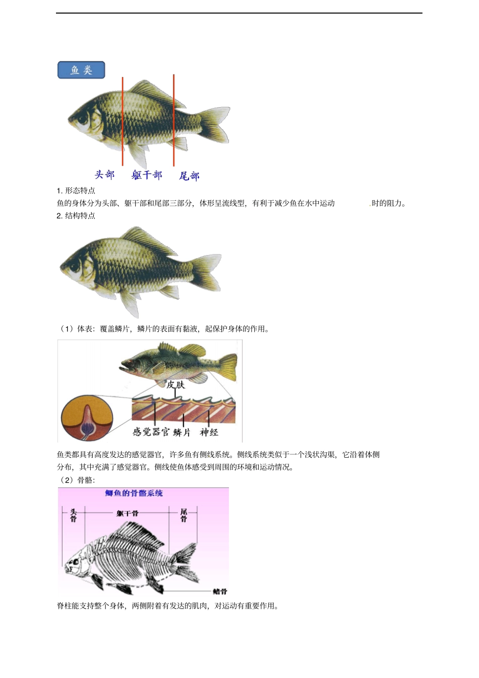 中考生物专题复习十三动物的分类二脊椎动物上讲义新人教版_第2页