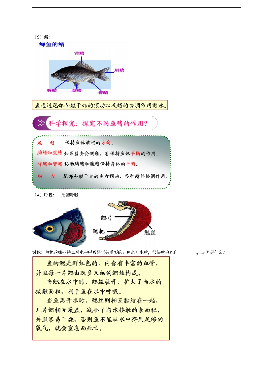 中考生物专题复习十三动物的分类二脊椎动物上讲义新人教版_第3页