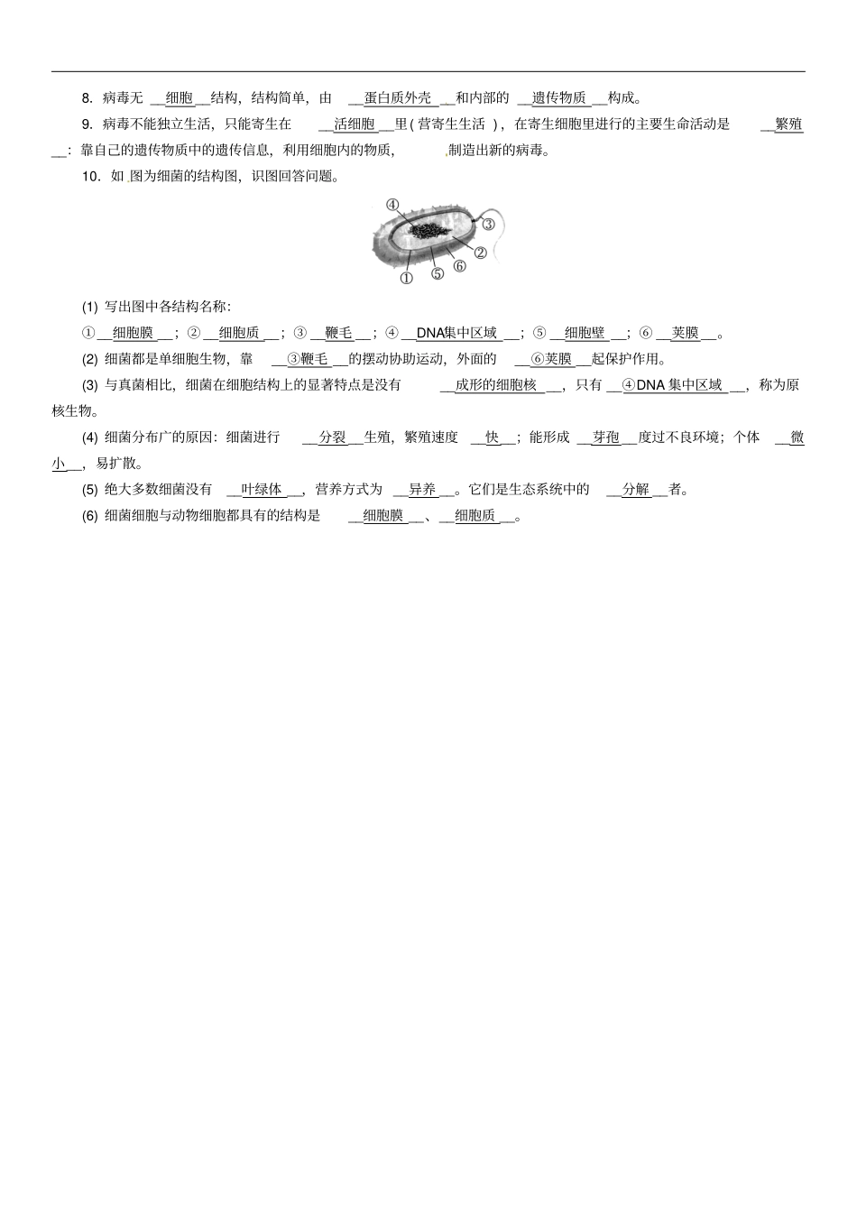 中考生物总复习必背知识过关卡13细菌、真菌和病毒_第2页