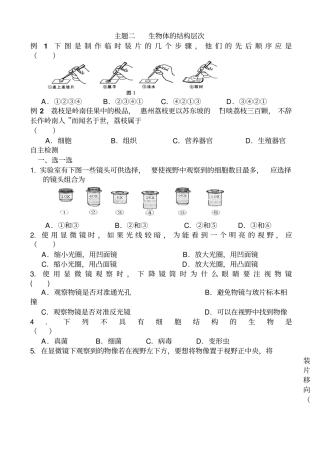 中考生物第一轮复习检测27主题二_生物体的结构层次