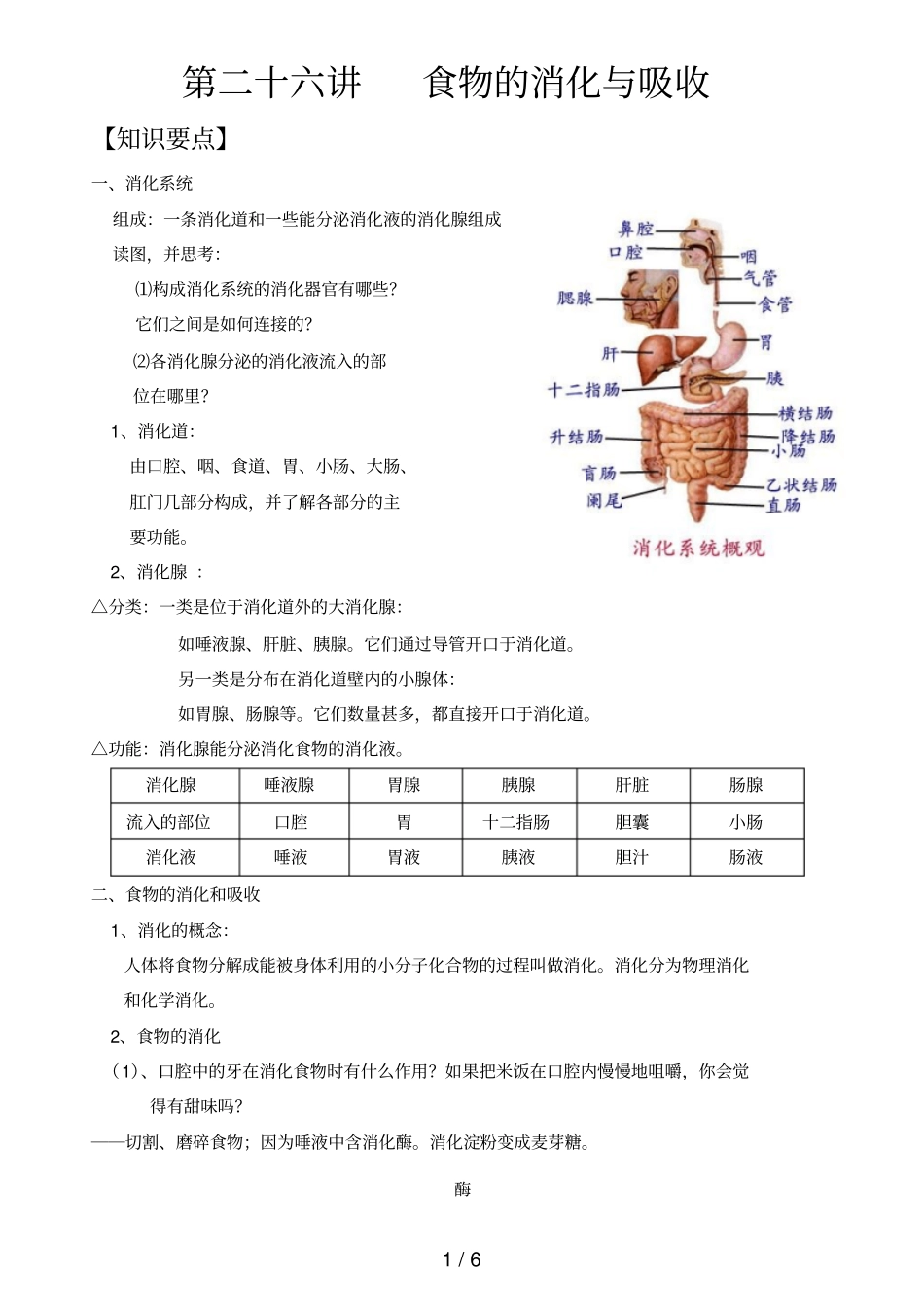 中考科学食物的消化与吸收_第1页