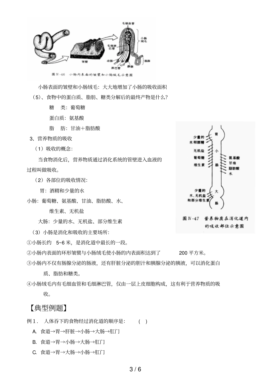 中考科学食物的消化与吸收_第3页