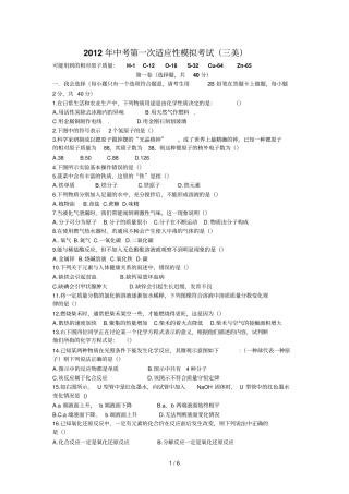 中考第一次适应性模拟考试