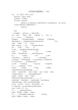 中考英语专题训练九句子