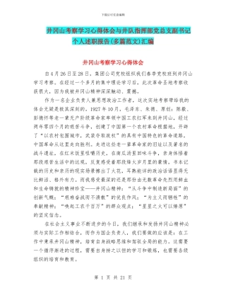 井冈山考察学习心得体会与井队指挥部党总支副书记个人述职报告汇编