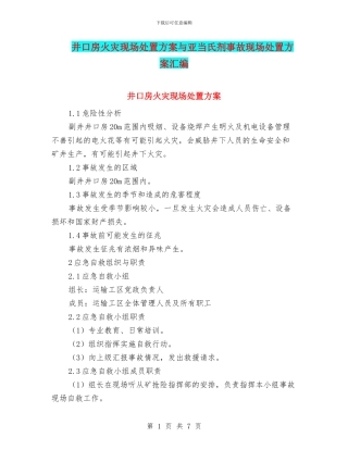 井口房火灾现场处置方案与亚当氏剂事故现场处置方案汇编