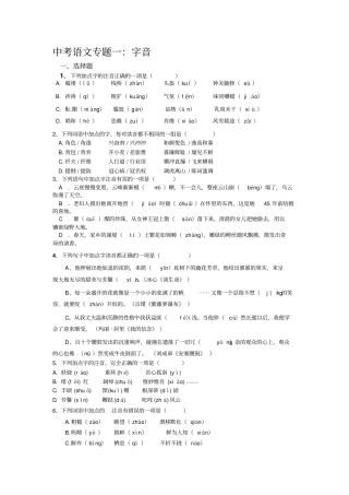 中考语文考点专题训练试题含答案全套