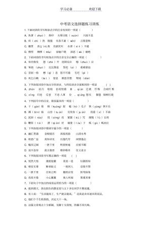 中考语文选择题练习训练