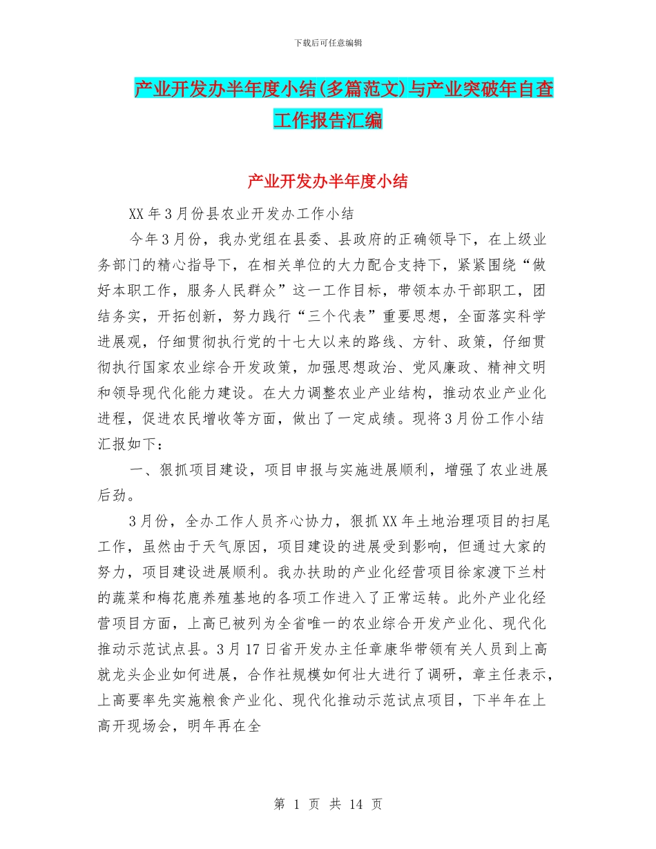 产业开发办半年度小结与产业突破年自查工作报告汇编_第1页