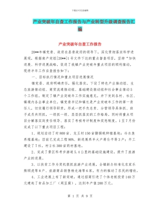 产业突破年自查工作报告与产业转型升级调查报告汇编