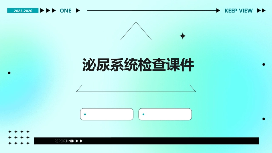 泌尿系统检查课件_第1页