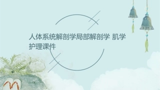 人体系统解剖学局部解剖学 肌学护理课件1