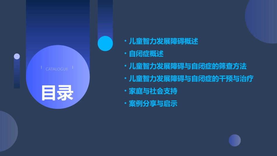 儿童智力发障碍及自闭症筛查课件_第2页