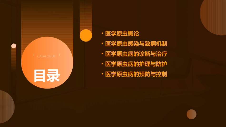 人卫版人体寄生虫学之医学原虫概论教学护理课件_第2页