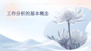 工作分析的基本概念课件