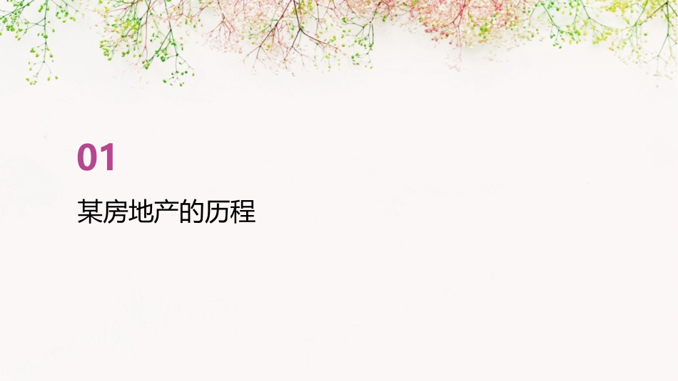 某房地产的历程与文化研究课件_第3页