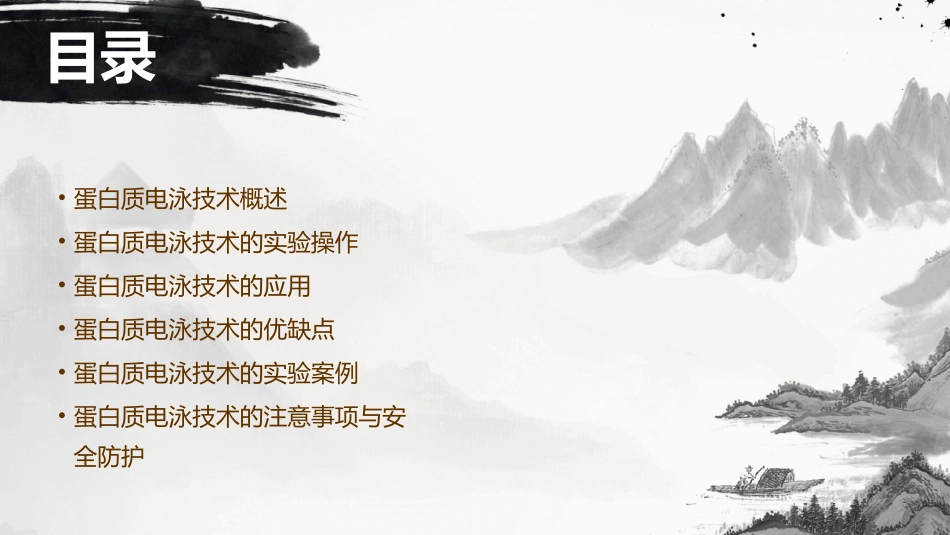 蛋白质电泳技术介绍课件_第2页