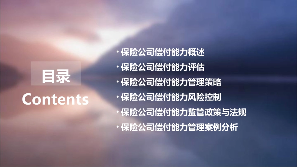 保险公司偿付能力管理课件_第2页