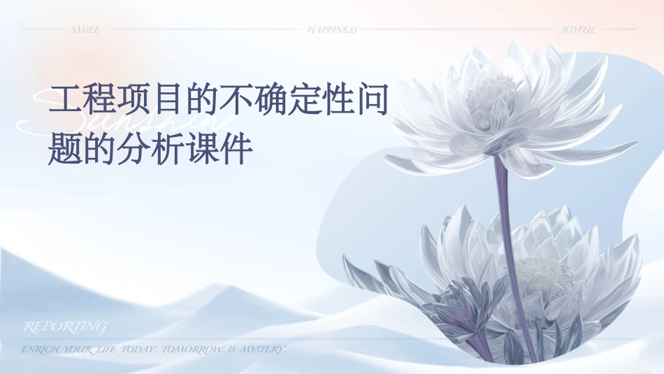 工程项目的不确定性问题的分析课件_第1页