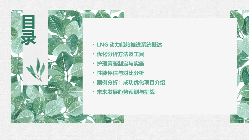 LNG动力船舶推进系统优化分析护理课件_第2页