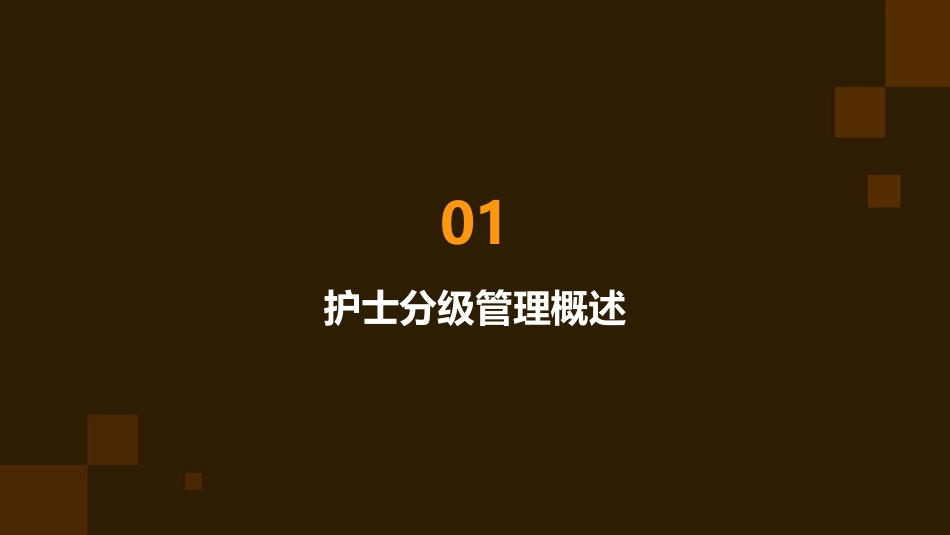 护士分级管理课件_第3页