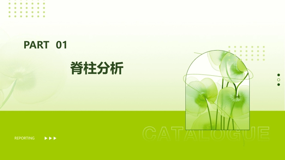 脊柱及四肢分析课件_第3页