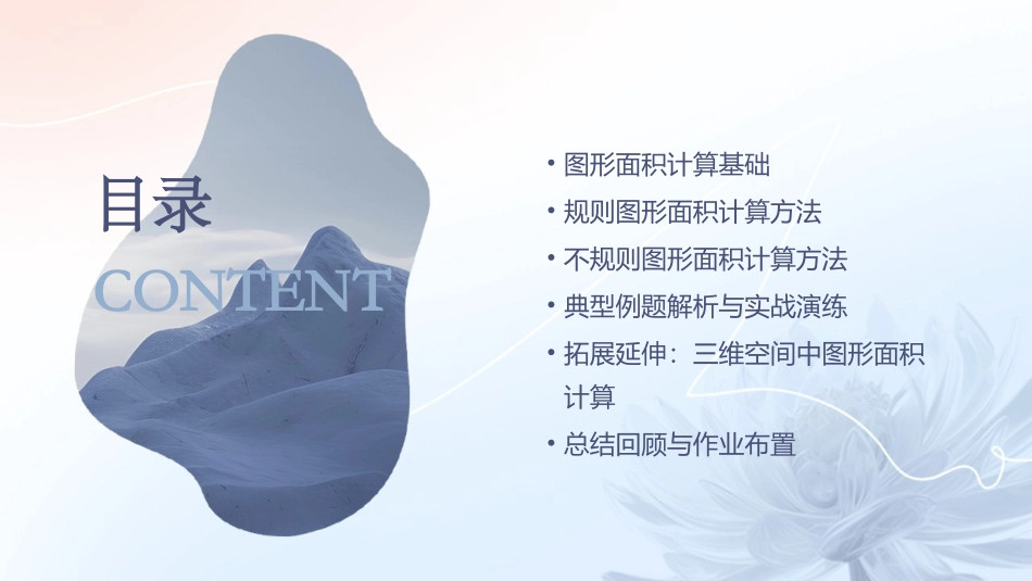 平面直角坐标系下图形面积的计算课件_第2页