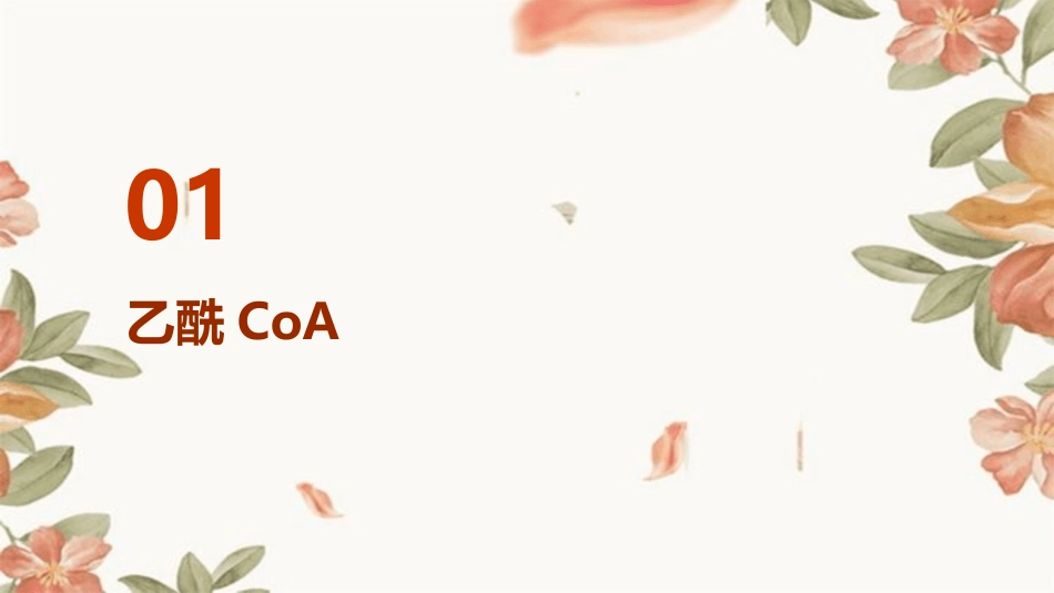 乙酰CoA草酰乙酸α酮戊二酸琥珀酰课件_第3页