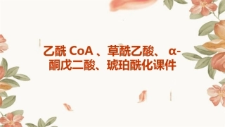 乙酰CoA草酰乙酸α酮戊二酸琥珀酰课件