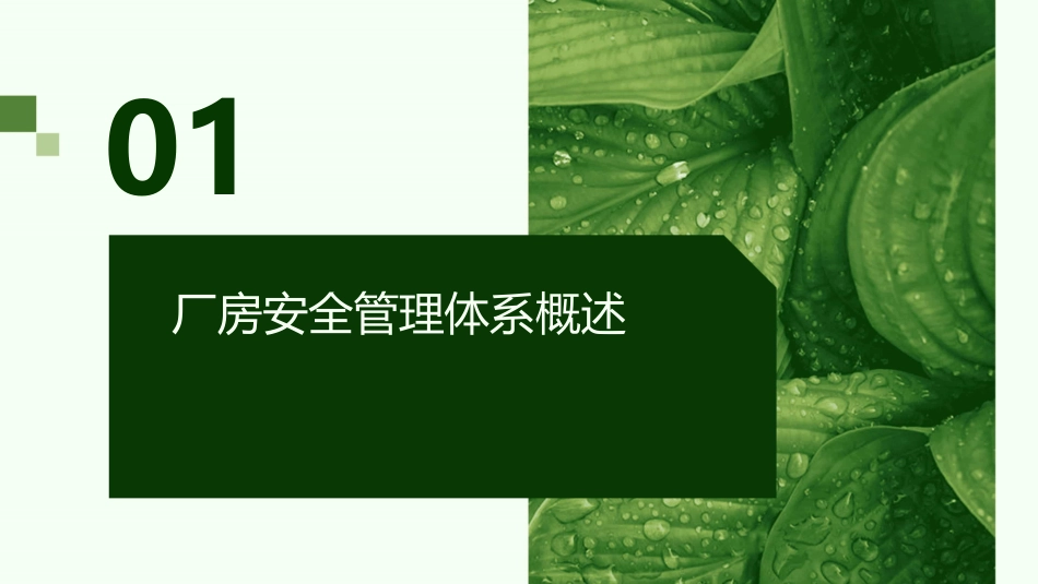 某科技厂房安全管理方案课件_第3页