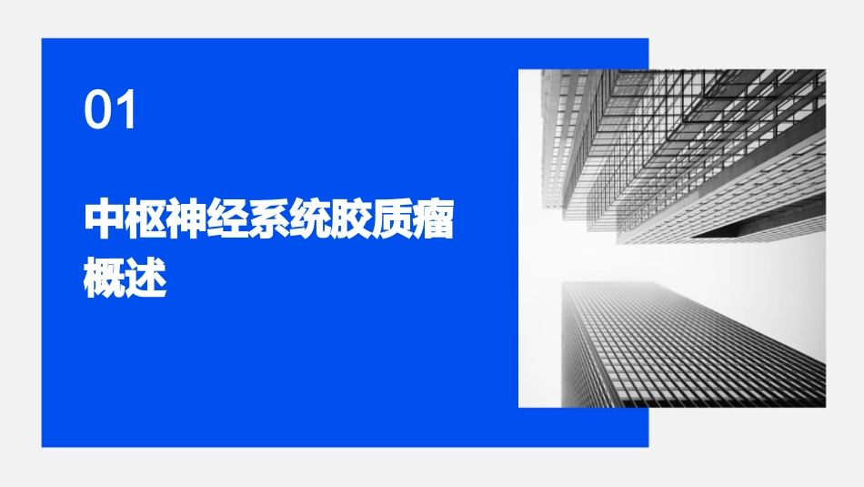 中枢神经系统胶质瘤护理课件_第3页