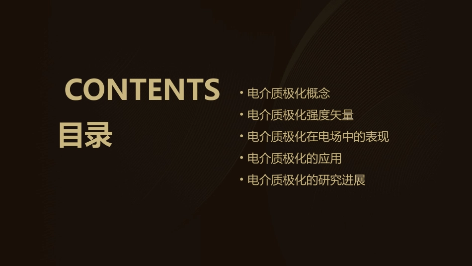 电介质的极化极化强度矢量课件_第2页