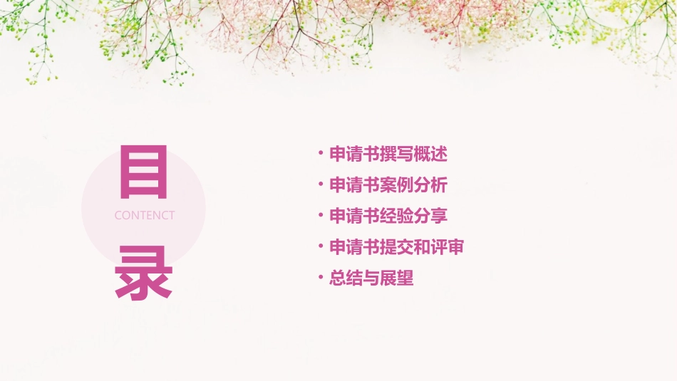 典型项目申请书经验介绍课件_第2页