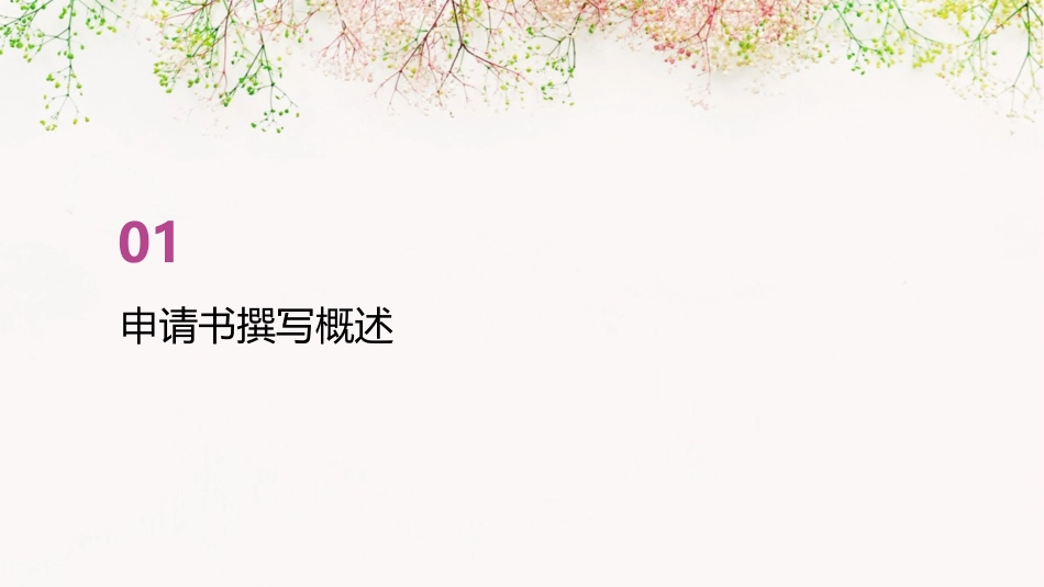 典型项目申请书经验介绍课件_第3页