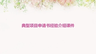 典型项目申请书经验介绍课件