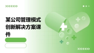 某公司管理模式创新解决方案课件