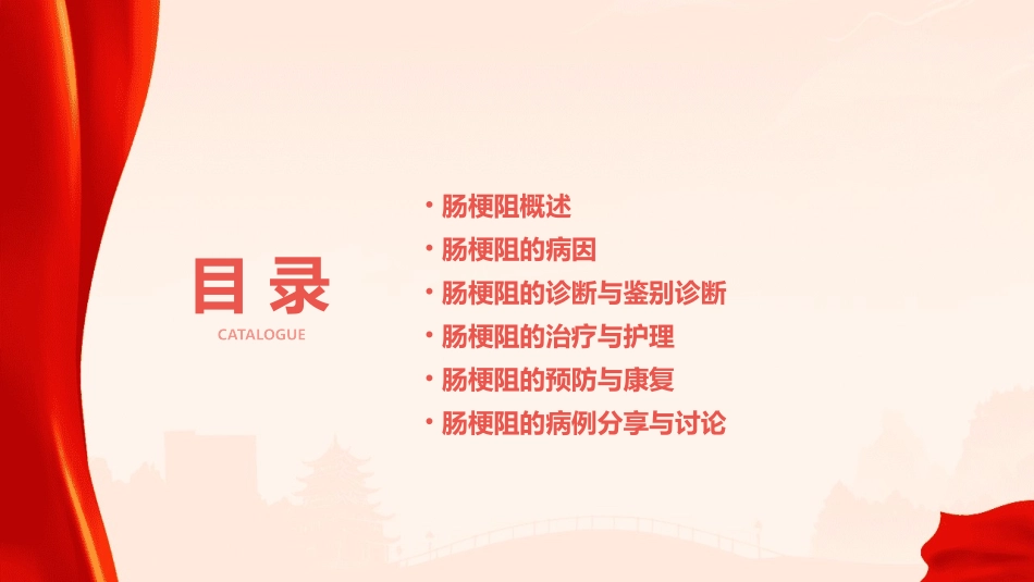 人卫版肠梗阻教学护理课件_第2页