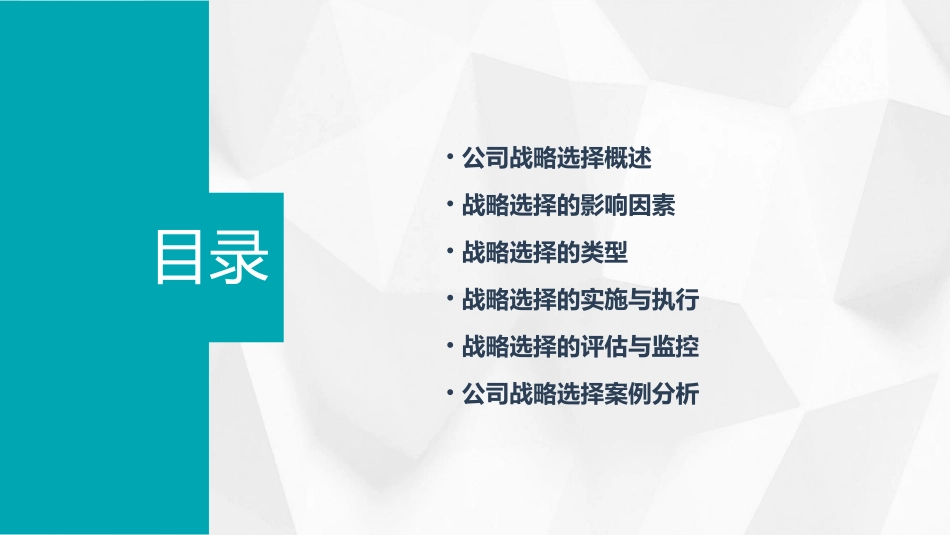 公司战略选择后部分课件_第2页