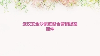 武汉安金沙豪庭整合营销提案课件