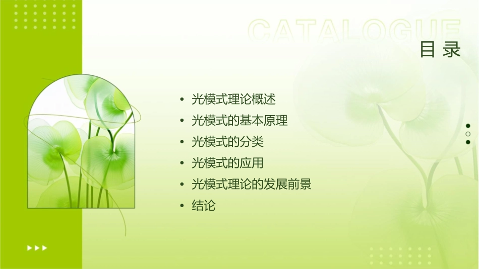 光模式理论简介课件1_第2页