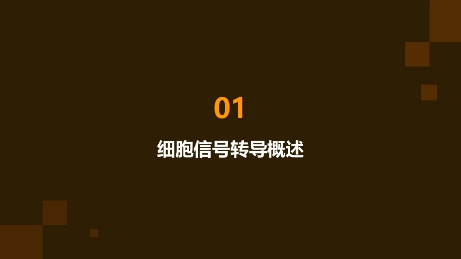 人卫版医学细胞生物学之细胞信号转导教学护理课件_第3页