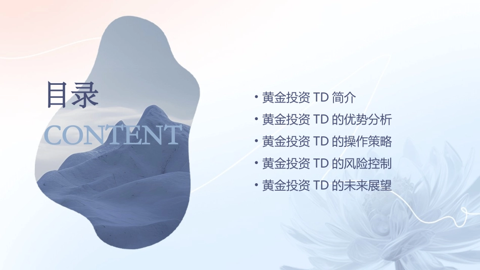 黄金投资TD优势投资分析课件_第2页