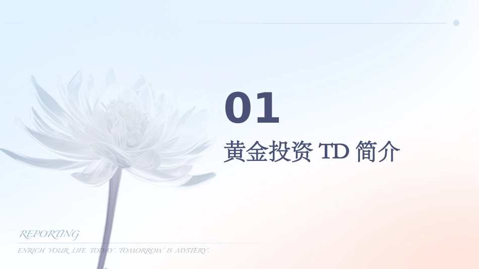 黄金投资TD优势投资分析课件_第3页