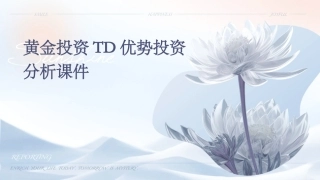 黄金投资TD优势投资分析课件