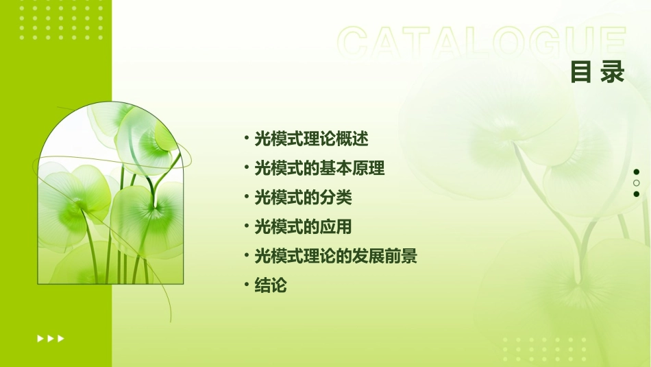 光模式理论简介课件_第2页