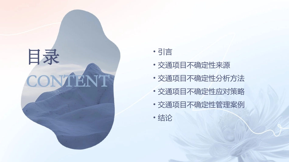 交通项目不确定性分析课件_第2页