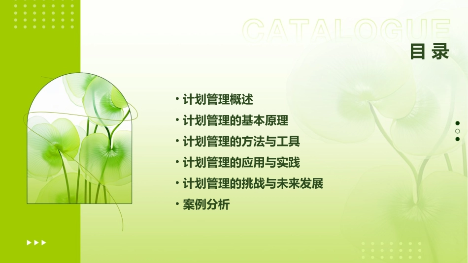 计划管理学清华大学陈爱祖课件_第2页