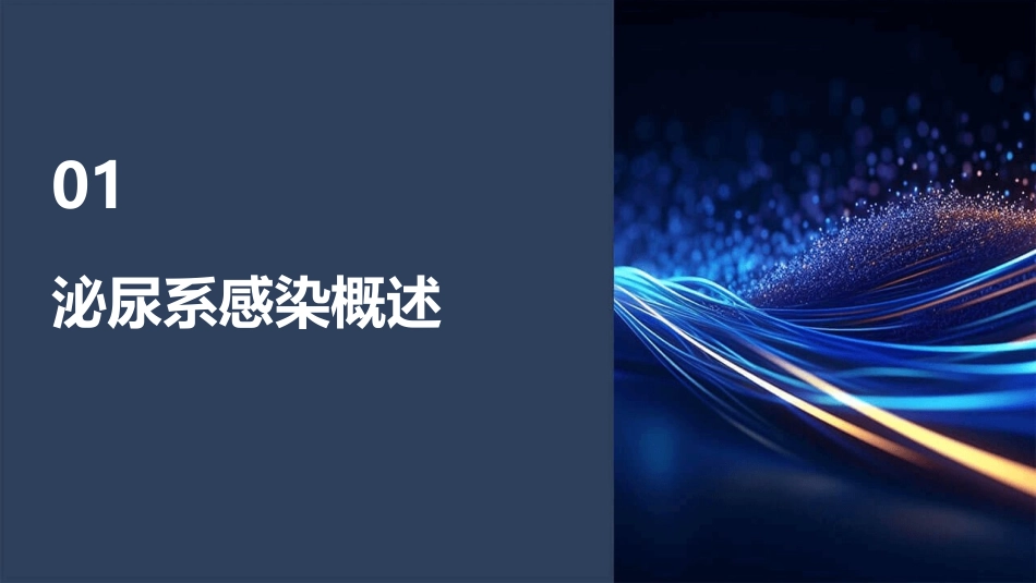 泌尿系感染查房护理课件_第3页