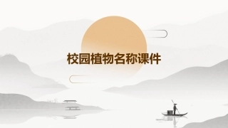 校园植物名称课件